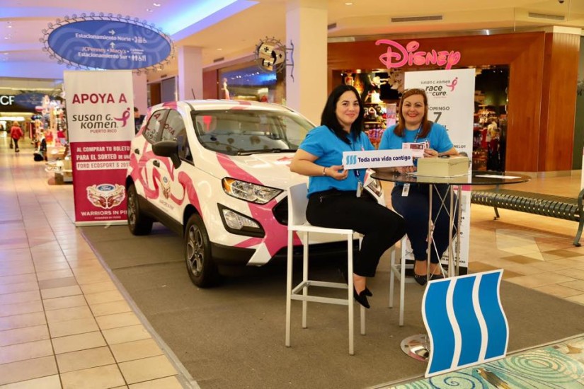 Triple-S joins the Susan G. Komen’s  volunteer day