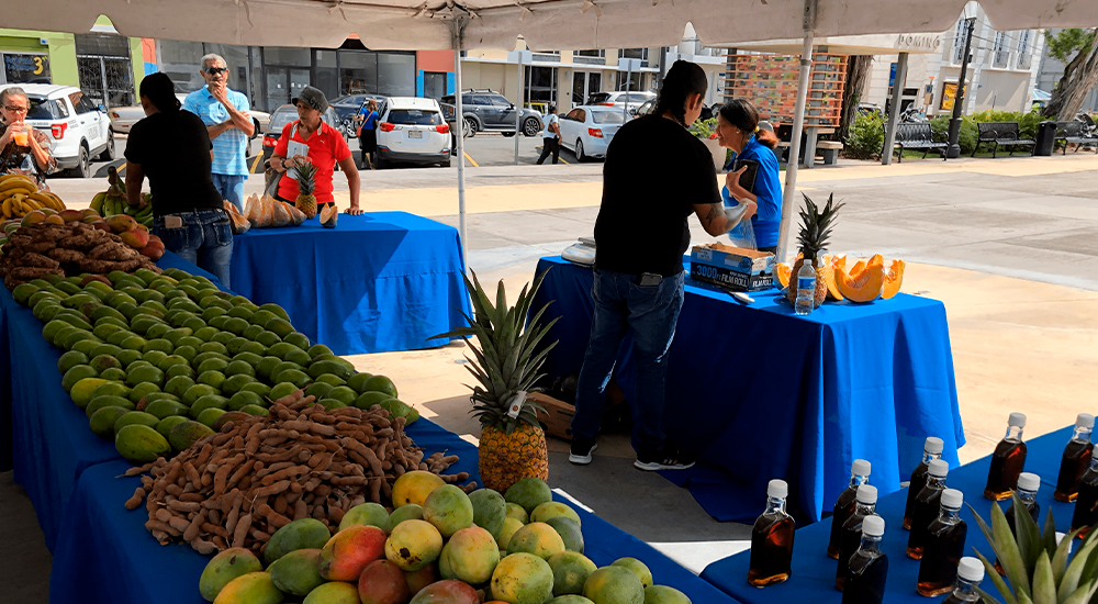 Mercado Saludable