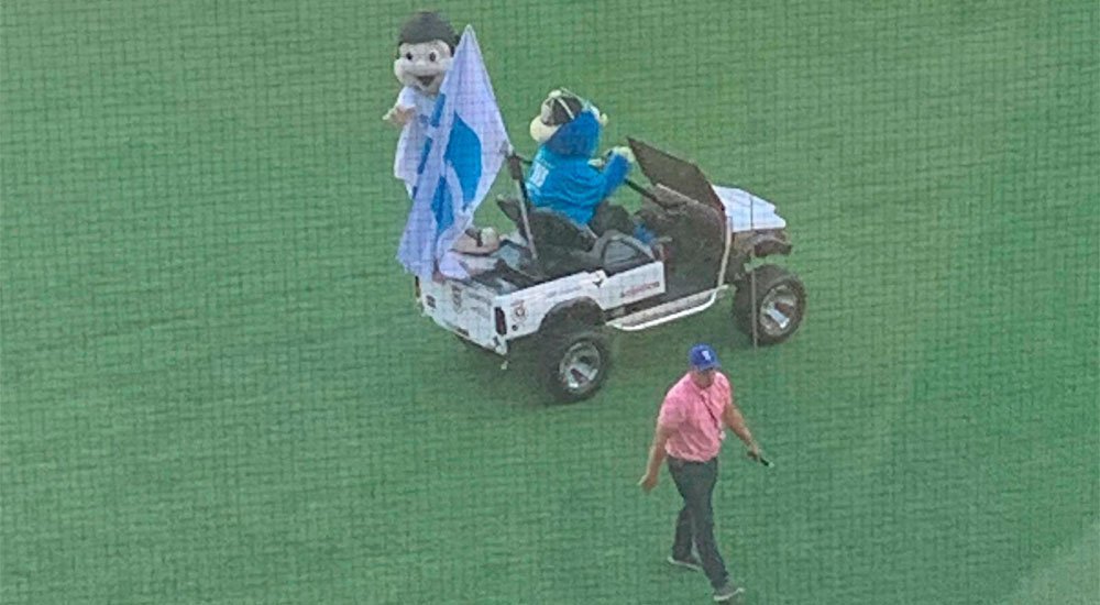 Cancer ponched at the ball park