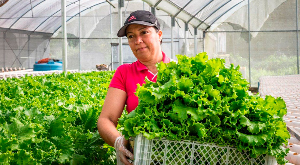 Triple-S Foundation donates $250,000 to support food security