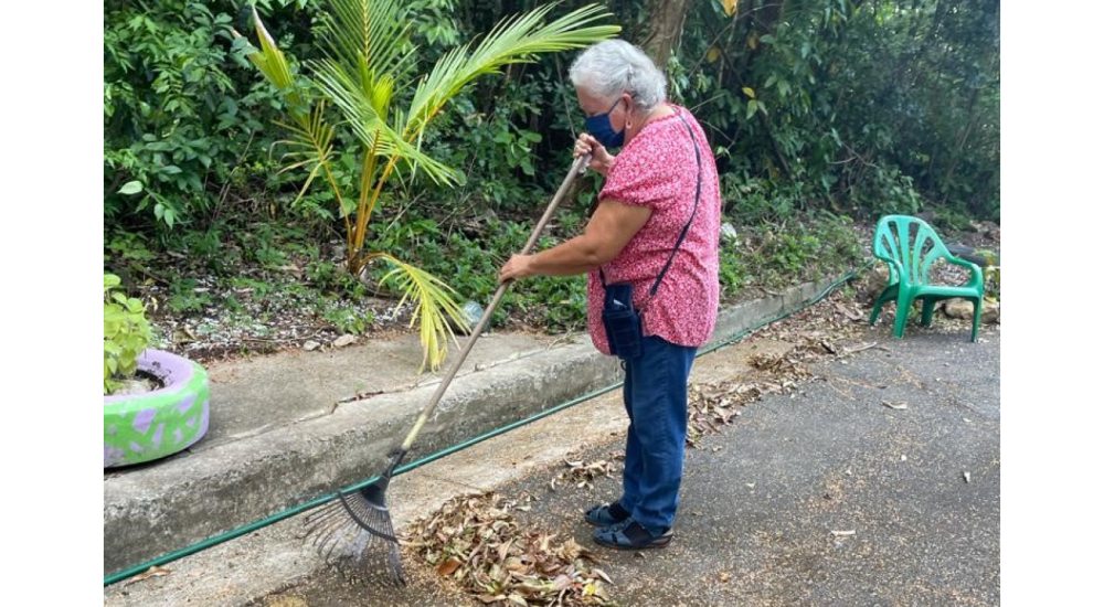 San Patricio Urban Forest is Rehabilitated