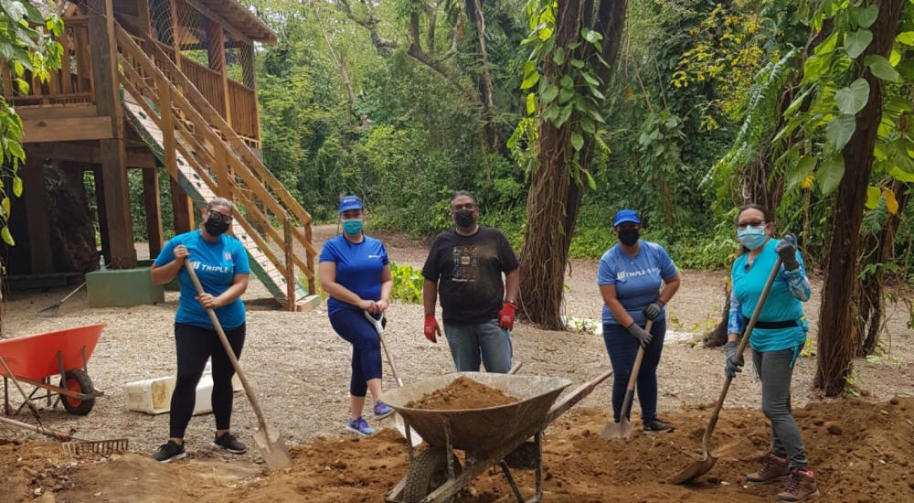 San Patricio Urban Forest is Rehabilitated
