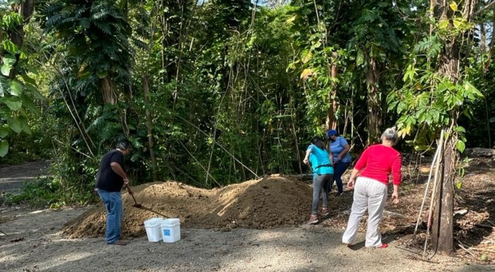 San Patricio Urban Forest is Rehabilitated