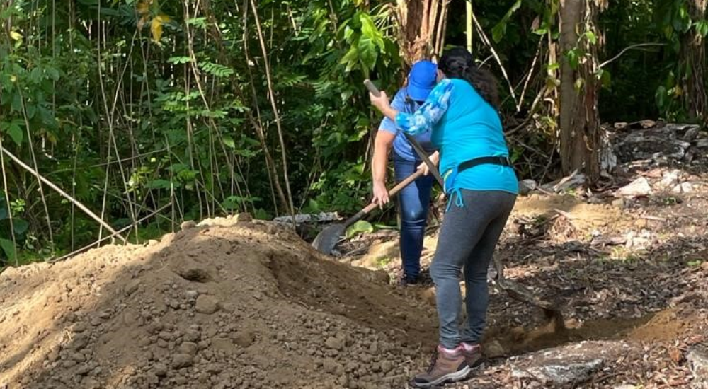 San Patricio Urban Forest is Rehabilitated