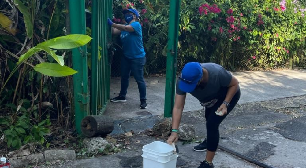 San Patricio Urban Forest is Rehabilitated