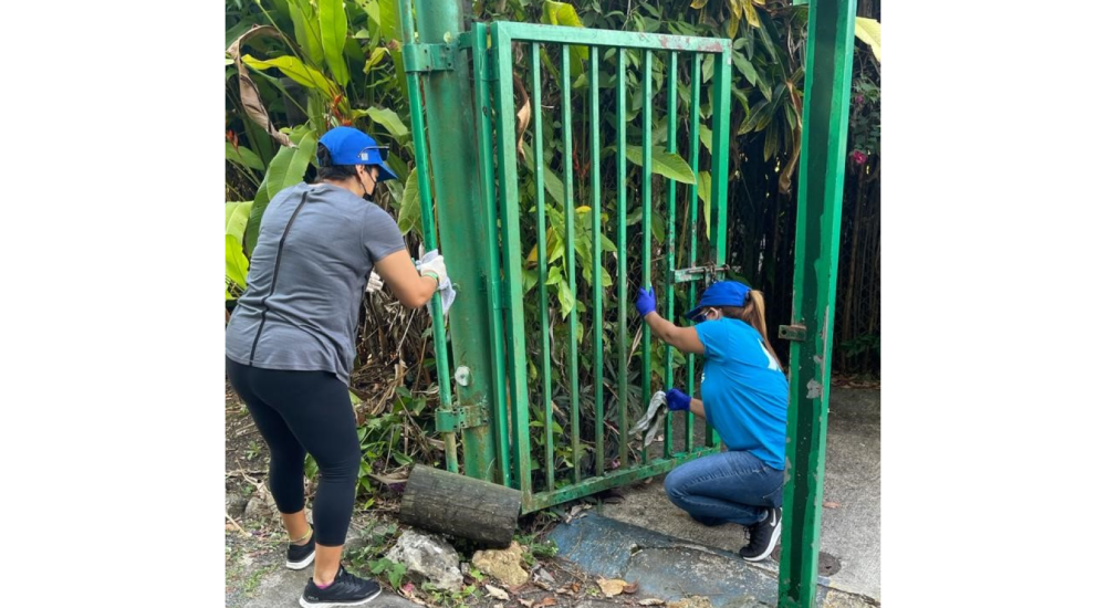 San Patricio Urban Forest is Rehabilitated